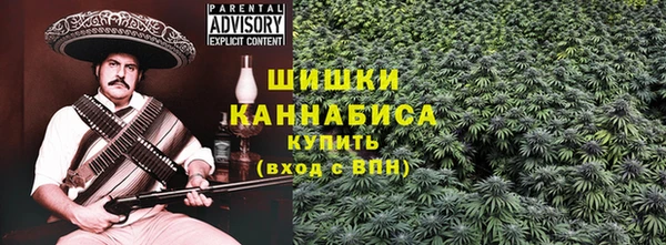 шишки Мегион