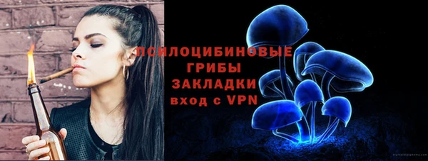 спиды Михайлов