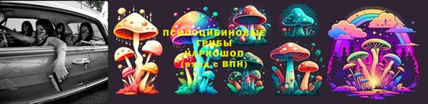 спиды Михайлов
