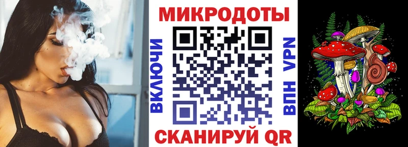 наркотики  Злынка  Галлюциногенные грибы Psilocybe 