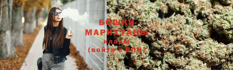 продажа наркотиков  Злынка  МЕГА зеркало  Канабис SATIVA & INDICA 